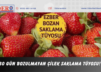 30 gün bozulmayan çilek saklama tüyosu! 