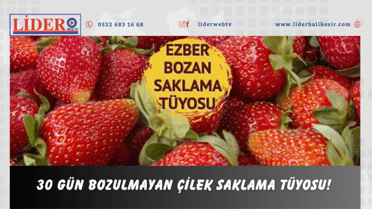 30 gün bozulmayan çilek saklama tüyosu!