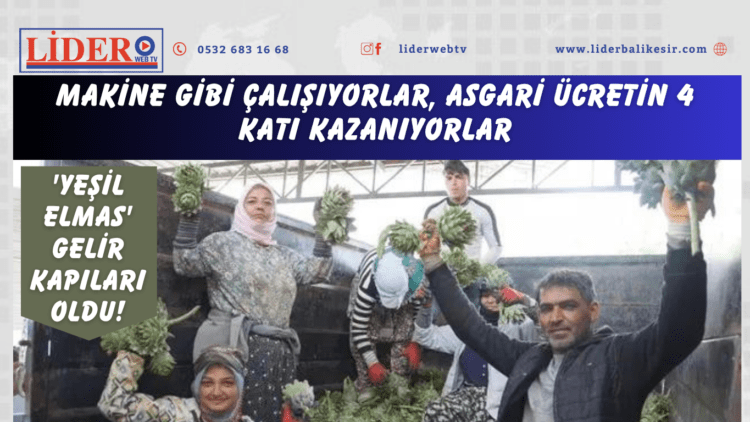 Makine gibi çalışıyorlar, asgari ücretin 4 katı kazanıyorlar