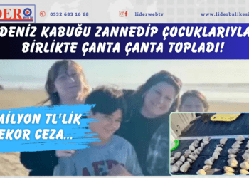 Deniz kabuğu zannedip çocuklarıyla birlikte çanta çanta topladı! Toplanması yasaklanan deniz tarağı çıktı: 2 milyon TL’lik rekor ceza…