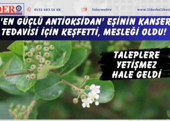 ‘En güçlü antioksidan’ Eşinin kanser tedavisi için keşfetti, mesleği oldu! Taleplere yetişmez hale geldi