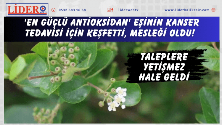 ‘En güçlü antioksidan’ Eşinin kanser tedavisi için keşfetti, mesleği oldu! Taleplere yetişmez hale geldi