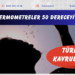 Türkiye kavruluyor! Adana’da termometreler 50 dereceyi gördü