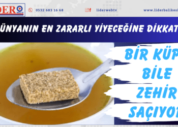 Dünyanın en zararlı yiyeceğine dikkat! Bir küpü bile zehir saçıyor