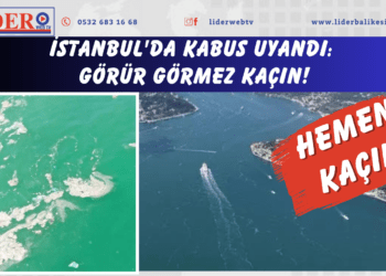 İstanbul’da kabus uyandı: Görür görmez kaçın!