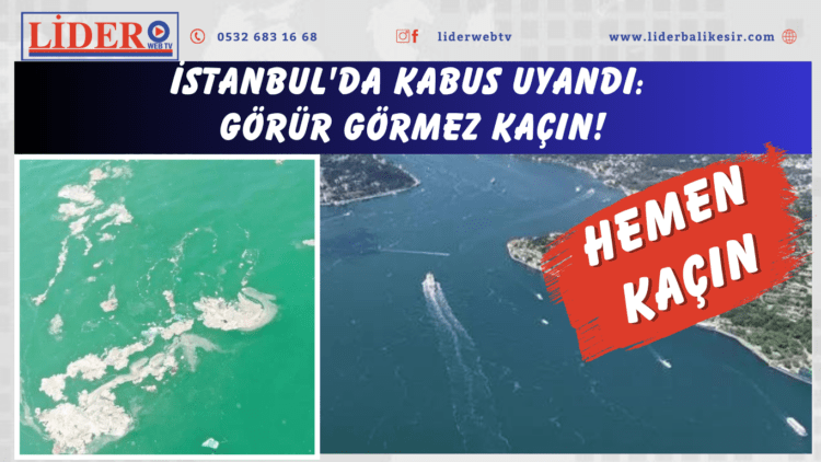 İstanbul’da kabus uyandı: Görür görmez kaçın!