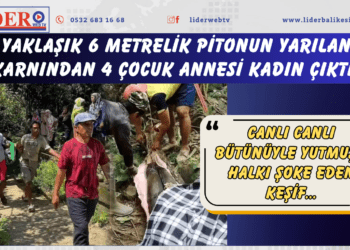 Yaklaşık 6 metrelik pitonun yarılan karnından 4 çocuk annesi kadın çıktı! Canlı canlı bütünüyle yutmuş… Halkı şoke eden keşif