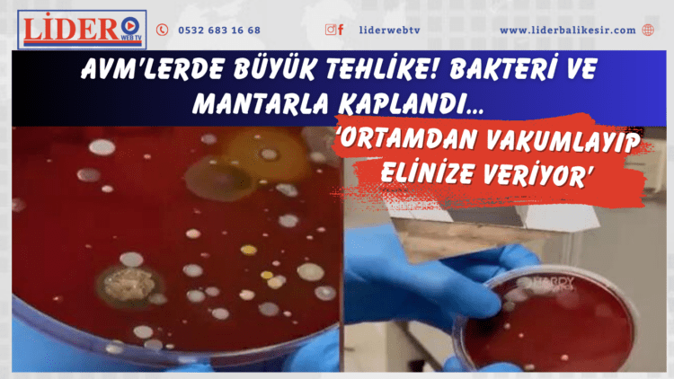 AVM’lerde büyük tehlike! Bakteri ve mantarla kaplandı…