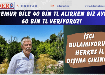 ‘Memur bile 40 bin TL alırken biz ayda 60 bin TL veriyoruz! İşçi bulamıyoruz’ Herkes il dışına çıkınca..