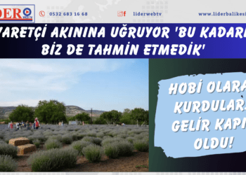 Hobi olarak kurdular… Gelir kapısı oldu! Ziyaretçi akınına uğruyor ‘Bu kadarını biz de tahmin etmedik’