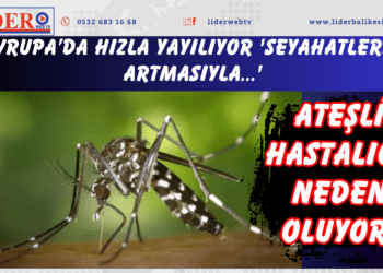 Ateşli hastalığa neden oluyor! Avrupa’da hızla yayılıyor ‘Seyahatlerin artmasıyla…’