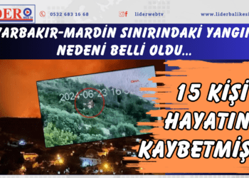 15 kişi hayatını kaybetmişti! Diyarbakır-Mardin sınırındaki yangının nedeni belli oldu…