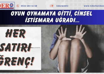 Her satırı iğrenç! Oyun oynamaya gitti, cinsel istismara uğradı