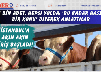 İstanbul’a akın akın giriş başladı! 28 bin adet, hepsi yolda: ‘Bu kadar hassas bir konu’ diyerek anlattılar