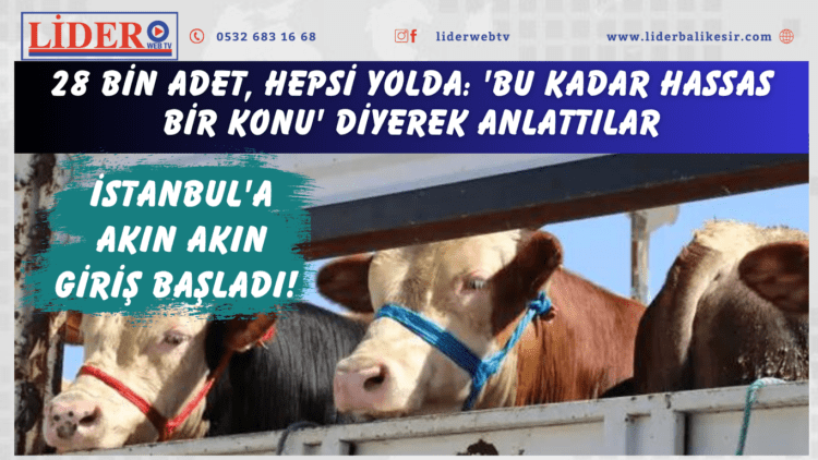 İstanbul’a akın akın giriş başladı! 28 bin adet, hepsi yolda: ‘Bu kadar hassas bir konu’ diyerek anlattılar