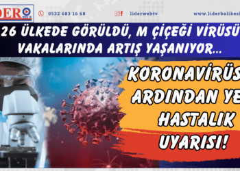 Korona virüsün ardından yeni hastalık uyarısı! 26 ülkede görüldü, M çiçeği virüsü vakalarında artış yaşanıyor