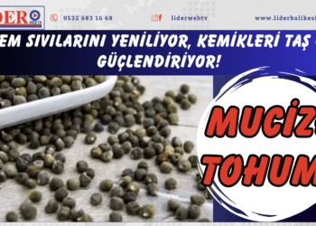 Mucize tohum: Eklem sıvılarını yeniliyor, kemikleri taş gibi güçlendiriyor!