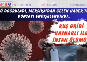 Kuş gribi kaynaklı ilk insan ölümü! DSÖ doğruladı, Meksika’dan gelen haber tüm dünyayı endişelendirdi..