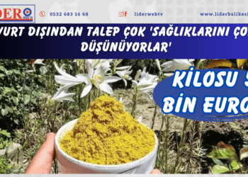 Kilosu 5 bin euro! Yurt dışından talep çok ‘Sağlıklarını çok düşünüyorlar’