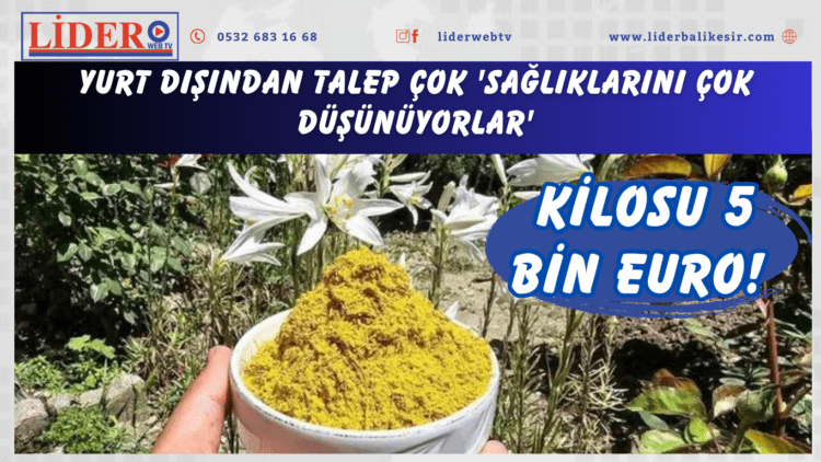 Kilosu 5 bin euro! Yurt dışından talep çok ‘Sağlıklarını çok düşünüyorlar’