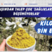 Kilosu 5 bin euro! Yurt dışından talep çok ‘Sağlıklarını çok düşünüyorlar’