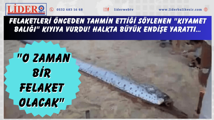 Felaketleri önceden tahmin ettiği söylenen “kıyamet balığı” kıyıya vurdu! Halkta büyük endişe yarattı… “O zaman bir felaket olacak”
