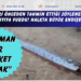 Felaketleri önceden tahmin ettiği söylenen “kıyamet balığı” kıyıya vurdu! Halkta büyük endişe yarattı… “O zaman bir felaket olacak”