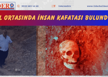 Yol ortasında insan kafatası bulundu..