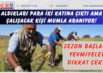 Aldıkları para iki katına çıktı ama çalışacak kişi mumla aranıyor! Sezon başladı, yevmiyeler dikkat çekti