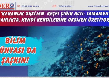 Bilim dünyası da şaşkın! ‘Karanlık oksijen’ keşfi çığır açtı: Tamamen karanlıkta, kendi kendilerine oksijen üretiyorlar