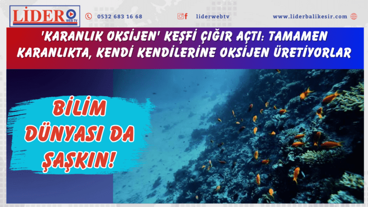 Bilim dünyası da şaşkın! ‘Karanlık oksijen’ keşfi çığır açtı: Tamamen karanlıkta, kendi kendilerine oksijen üretiyorlar