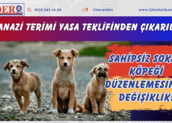 Sahipsiz sokak köpeği düzenlemesinde değişiklik! Ötanazi terimi yasa teklifinden çıkarıldı..