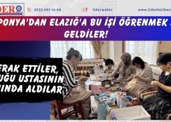 Japonya’dan Elazığ’a bu işi öğrenmek için geldiler! Merak ettiler, soluğu ustasının yanında aldılar…