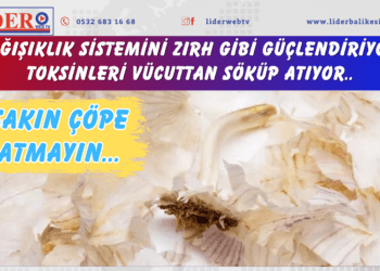 Sakın çöpe atmayın…Bağışıklık sistemini zırh gibi güçlendiriyor, toksinleri vücuttan söküp atıyor..