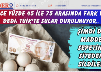 ‘Önce yüzde 45 ile 75 arasında fark yok’ dedi: TÜİK’te sular durulmuyor: Şimdi de madde sepetini siteden sildiler