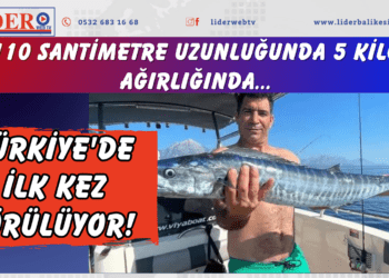 Türkiye’de ilk kez görülüyor! 110 santimetre uzunluğunda 5 kilo ağırlığında…