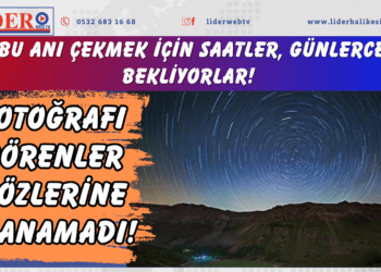 Bu anı çekmek için saatler, günlerce bekliyorlar! Fotoğrafı görenler gözlerine inanamadı!