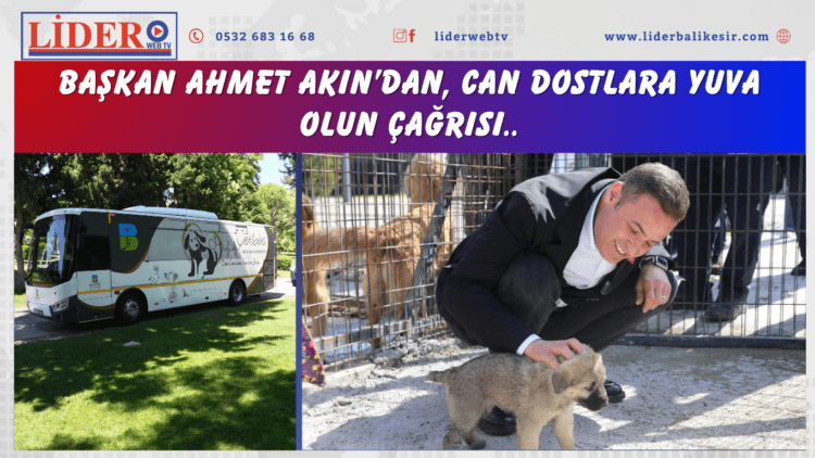 Başkan Ahmet Akın’dan, can dostlara yuva olun çağrısı..