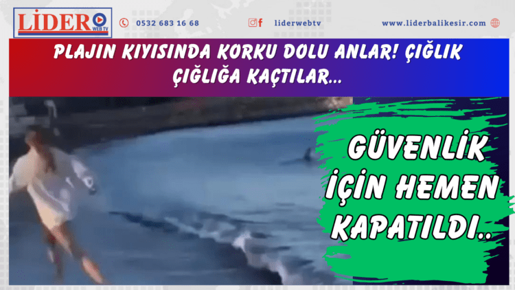 Plajın kıyısında korku dolu anlar! Çığlık çığlığa kaçtılar… Güvenlik için hemen kapatıldı..