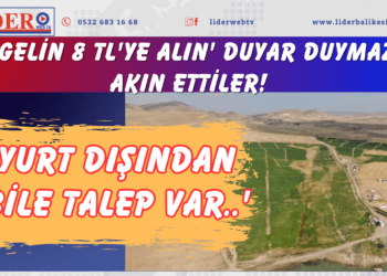 ‘Gelin 8 TL’ye alın’ Duyar duymaz akın ettiler! Yurt dışından bile talep var….’