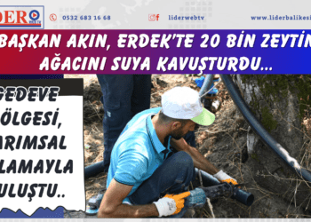 Başkan Akın, Erdek’te 20 bin zeytin ağacını suya kavuşturdu