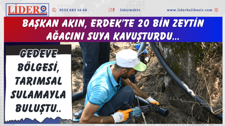 Başkan Akın, Erdek’te 20 bin zeytin ağacını suya kavuşturdu