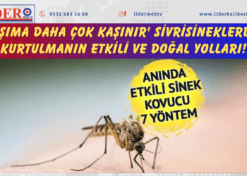 ‘Kaşıma daha çok kaşınır’ Sivrisineklerden kurtulmanın etkili ve doğal yolları!