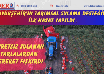  Ücretsiz sulanan tarlalardan bereket fışkırdı..