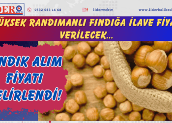 Fındık alım fiyatı belirlendi!