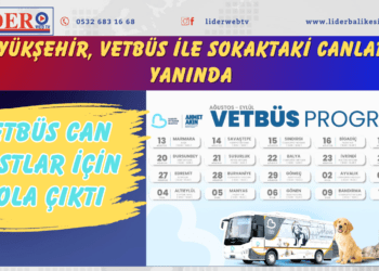 Büyükşehir, VETBÜS ile sokaktaki canların yanında