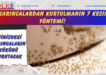 Karıncalardan kurtulmanın 7 kesin yöntemi! Evinizdeki karıncaların kökünü kurutacak