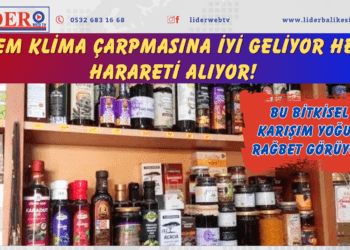 Hem klima çarpmasına iyi geliyor hem harareti alıyor! Satışları son günlerde arttı: Bu bitkisel karışım yoğun rağbet görüyor