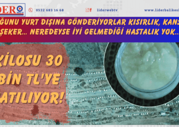 Kilosu 30 bin TL’ye satılıyor! Çoğunu yurt dışına gönderiyorlar Kısırlık, kanser, şeker… Neredeyse iyi gelmediği hastalık yok