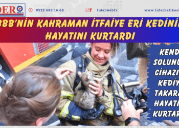 BBB’nin Kahraman İtfaiye Eri kedinin hayatını kurtardı